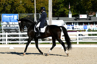 HSM_0335