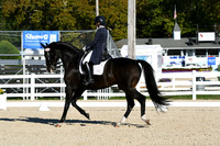 HSM_0336