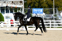 HSM_0337