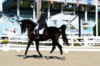 HSM_0339