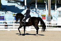 HSM_0341