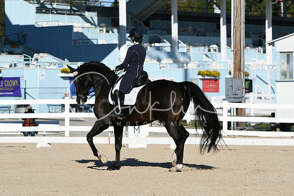 HSM_0341