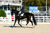 HSM_0338