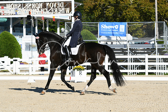 HSM_0338