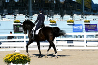 HSM_0343