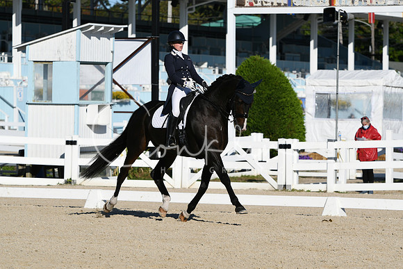 HSM_0346