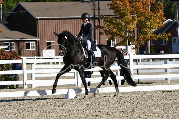 HSM_0356