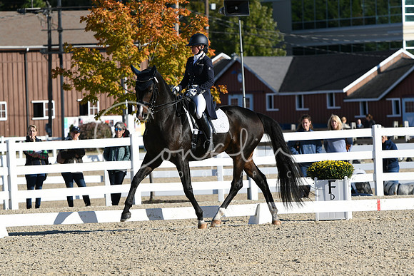 HSM_0354