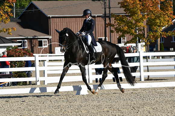 HSM_0357