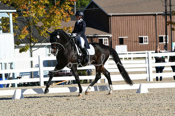 HSM_0358