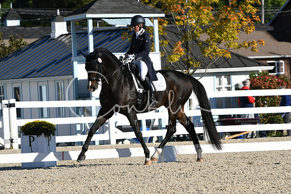 HSM_0360
