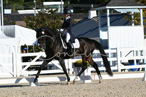 HSM_0362