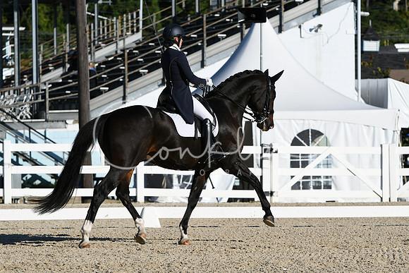 HSM_0382