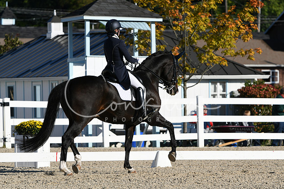 HSM_0383