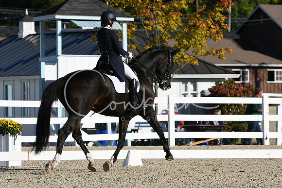 HSM_0384