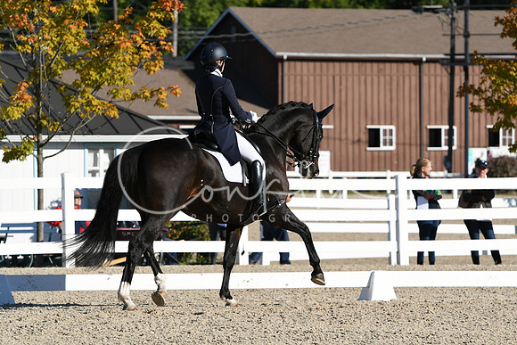 HSM_0385