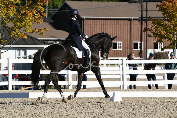 HSM_0386