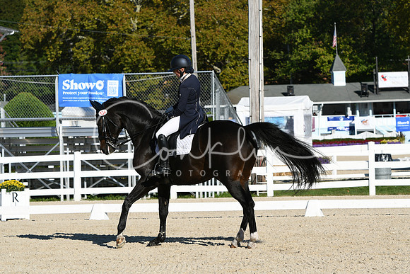 HSM_0409