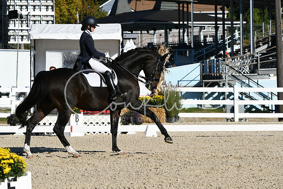 HSM_0420