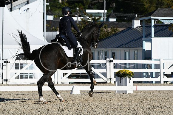 HSM_0422