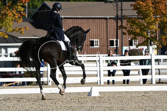 HSM_0424
