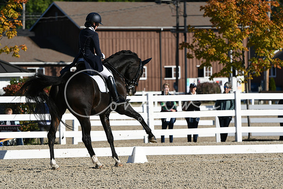HSM_0425