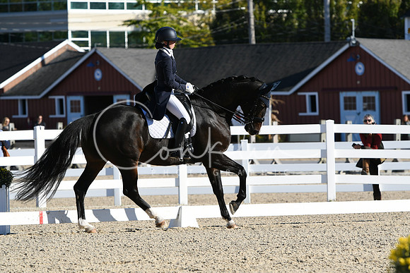 HSM_0426