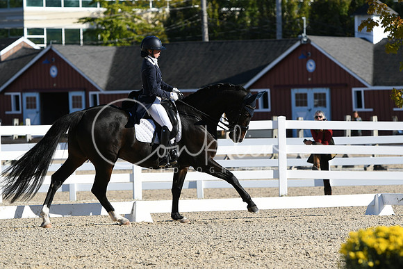 HSM_0427