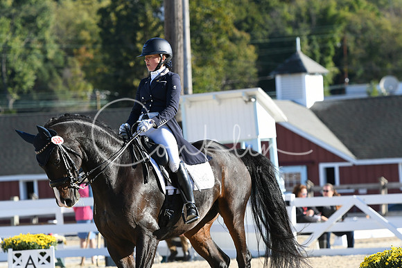HSM_0429