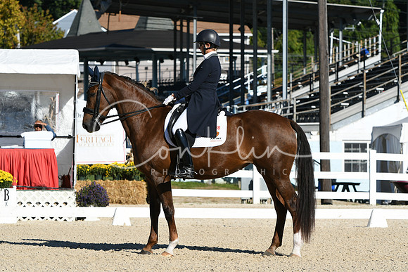 HSM_0706