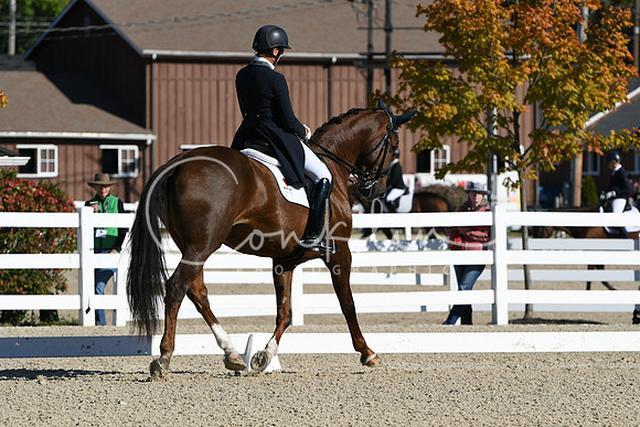 HSM_0743