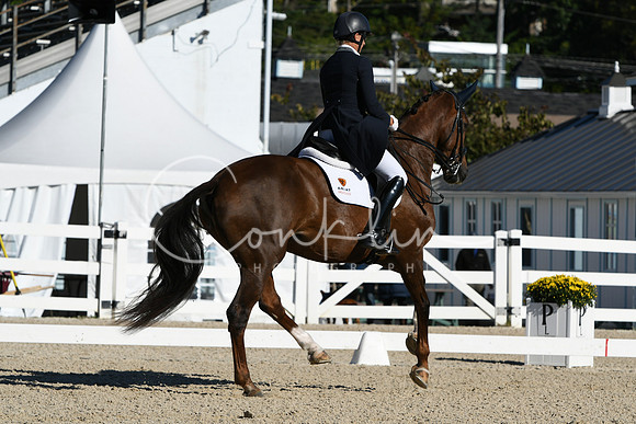 HSM_0774