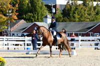 HSM_0559