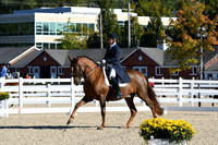 HSM_0561
