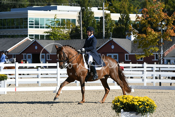 HSM_0561