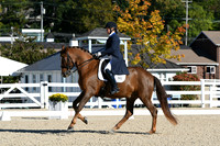 HSM_0564