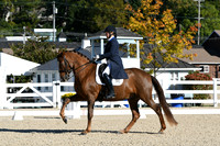 HSM_0565