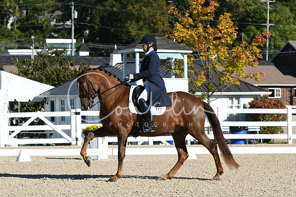 HSM_0565