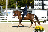HSM_0569