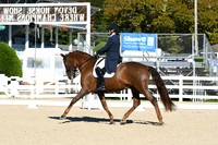 HSM_0570