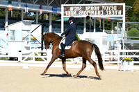 HSM_0572