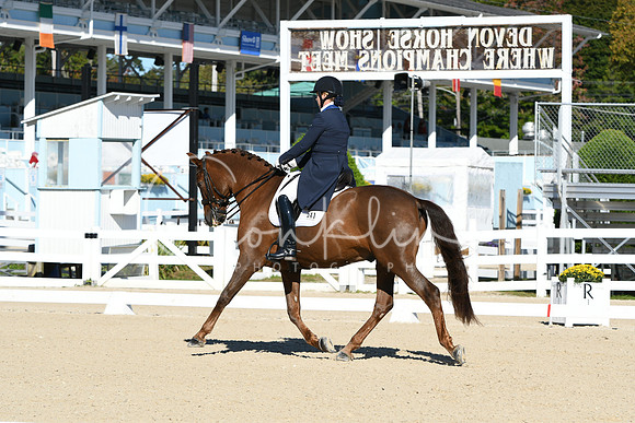 HSM_0572