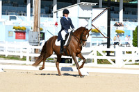 HSM_0576