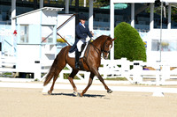 HSM_0578