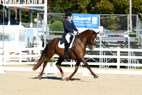 HSM_0579