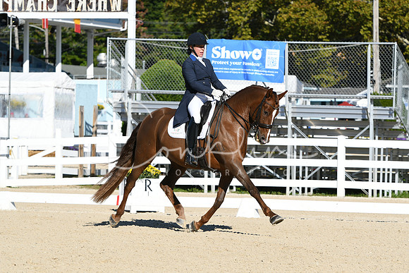 HSM_0579