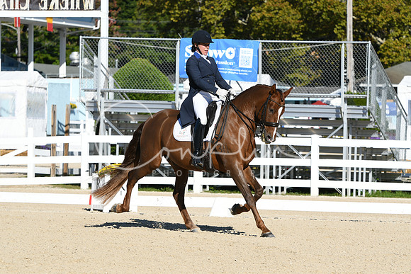 HSM_0580