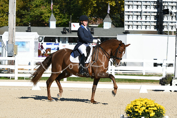 HSM_0581