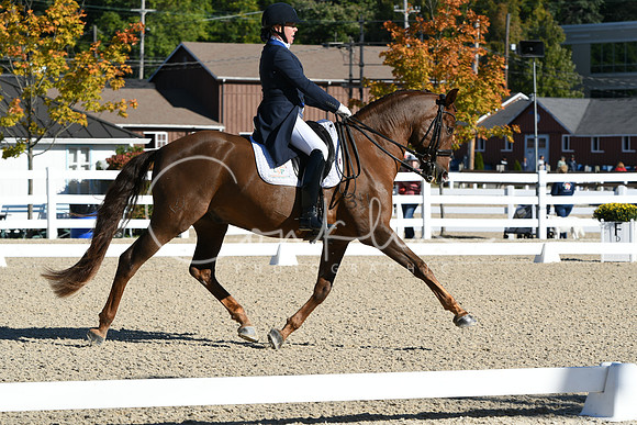HSM_0586