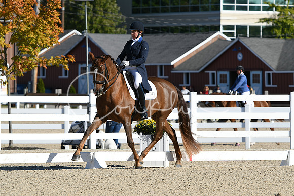 HSM_0587